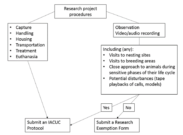 IACUC Review Determination Flowchart